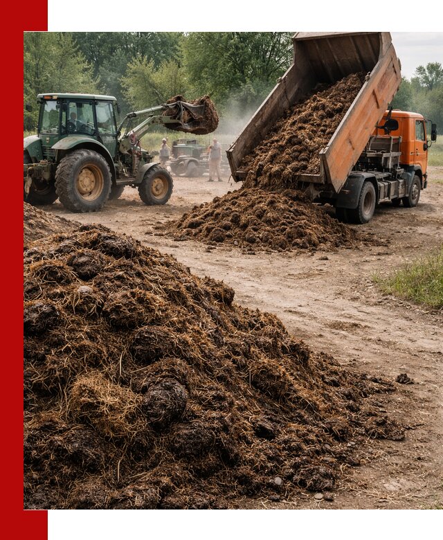 Доставка навоза самосвалами в Дедовске для сельхозпотребностей