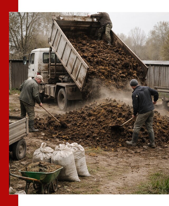 Доставка коровьего навоза самосвалом в Дедовске